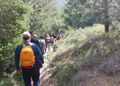Family Days στο Αισθητικό Δάσος Υμηττού