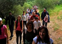 Πεζοπορία στο Αισθητικό Δάσος Υμηττού